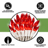 100 Red LED Christmas Lights on White Wire, UL Approved for Indoor/Outdoor Use, 18.5' Lighted Length, 20.8' Total Length 100 Red LED Christmas Lights on White Wire, UL Approved for Indoor/Outdoor Use, 18.5' Lighted Length, 20.8' Total Length