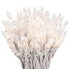 100 Clear Twinkle Lights on White Wire, Indoor/Outdoor Use, Lighted Length of 20.6’, Total Length of 21.8’