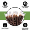 20 Clear Christmas Lights on a Brown Wire, UL Approved for Indoor Use, 5' of  Lighted Length, 6' of Total Length 20 Clear Christmas Lights on a Brown Wire, UL Approved for Indoor Use, 5' of  Lighted Length, 6' of Total Length