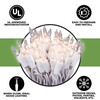 100 Clear Christmas Lights on a White Wire String, UL Approved for Indoor/Outdoor use, 18' of Lighted Length, 20' of Total Length
