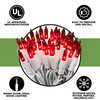 100 Red Christmas Lights on a White Wire String, UL Approved for Indoor/Outdoor Use, 18' Lighted Length, 20' Total Length 100 Red Christmas Lights on a White Wire String, UL Approved for Indoor/Outdoor Use, 18' Lighted Length, 20' Total Length